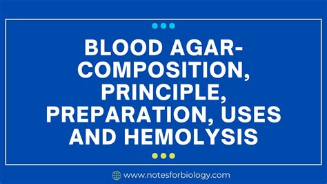 Blood Agar- Composition, Principle, Preparation, Uses