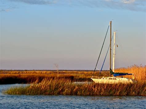 Apalachicola | Apalachicola, Beach trip, Favorite places