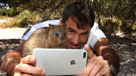 Quokka selfies: Is Instagram's welfare warning 'overkill'? - BBC News