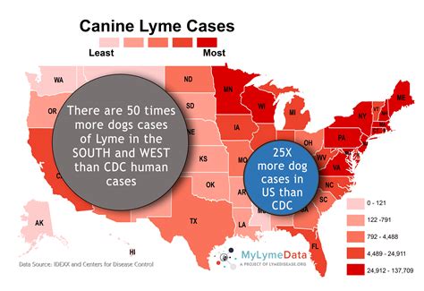 Lyme Disease Map Usa - Pregnant Center Informations