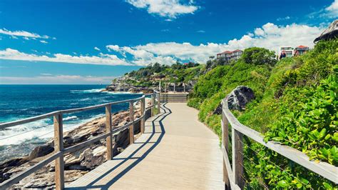 Bondi to Coogee Walk - Concrete Playground