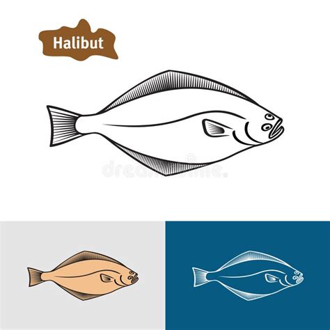 Halibut Stock Illustrations – 672 Halibut Stock Illustrations, Vectors ...