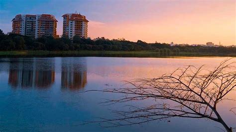 Agara Lake, Bangalore