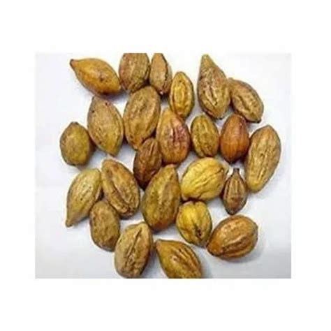 Terminalia Chebula Seeds, 20 Kg, Packaging Type: Pp Bag at best price ...