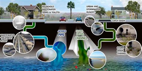 Storm Drain Pollution Prevention - City of Rosemead, CA