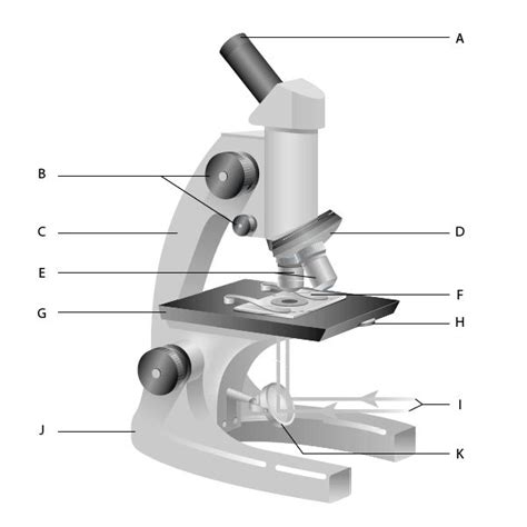 Best 25+ Microscope parts ideas on Pinterest | Cells 5th grade, Biology projects and The cell