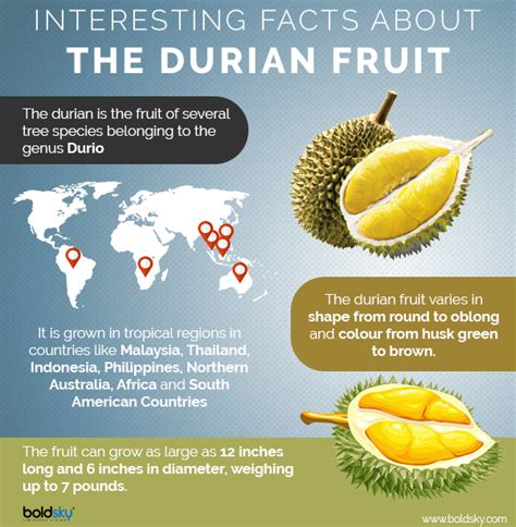 Durian: The Exotic Fruit With Many Health Benefits - Boldsky.com