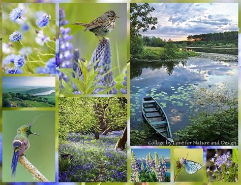 love for nature and design | Beautiful collage, Nature photography, Color collage