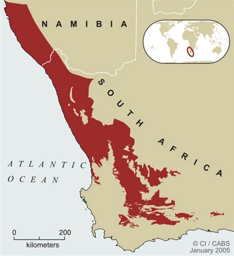 TJAPESBLOG2: Biodiversity Hotspots: Succulent Karoo