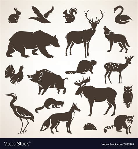 European forest wild animals collection Royalty Free Vector