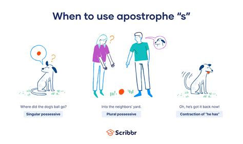 When to Use Apostrophe S ('s) | Guide & Examples