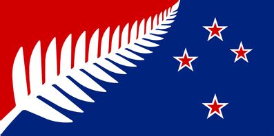 OFFICIAL SILVER FERN FLAG - Silver Fern Flag