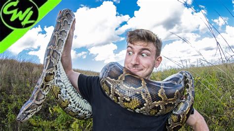 EVERGLADES PYTHON HUNTING!!!(ISLAND HOPPING) - YouTube