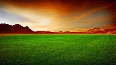 Grass Field Wallpapers ~ HD Wallpapers | Funny Videos | Hot Girls Photos | Amazing Wallpapers ...