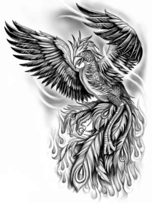 Phoenix Tattoos | 18 Custom Phoenix Tattoo Designs