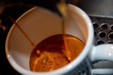 What is Doppio Coffee? - Coffee Lovers (Coffeepedia)