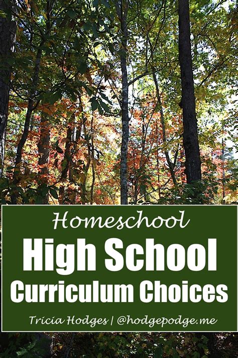 High School Homeschool Curriculum Choices - Hodgepodge