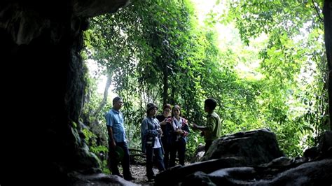 Parklife: Cúc Phương one of Asia's top national parks