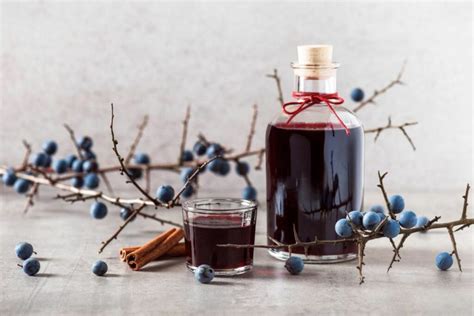 Picking sloe berries: harvesting & using sloes - Plantura