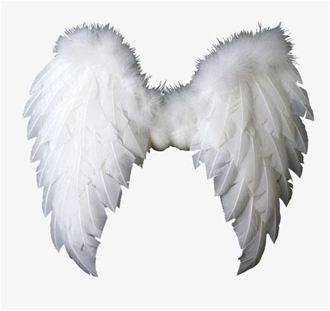 Angel Wings PNG Images, Angel Clipart, Wings Clipart, Angel PNG Transparent Background - Pngtree ...