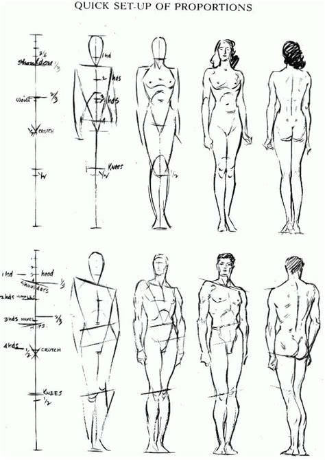 How To Draw Body Proportions - Ideas of Europedias