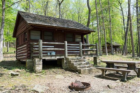 Site Cabin 31, Camp Misty Mount - Recreation.gov