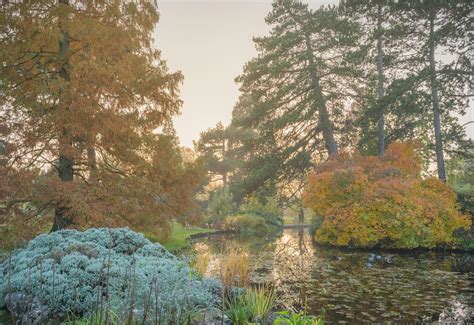 The Botanic Garden in Winter | Cambridge Live