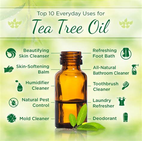 22 Everyday Uses and Health Benefits of Tea Tree Oil