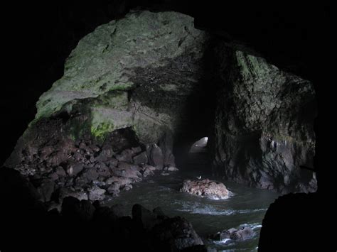 Weekend Wanderluster: Sea Lion Caves (Lane County, Oregon)