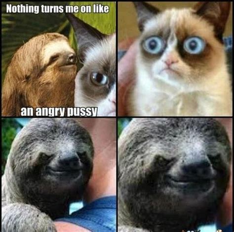 50 Top Sloth Meme Images and Funny Jokes | QuotesBae