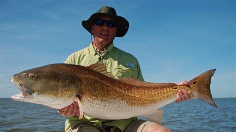 Late Season Big Redfish – Shallow South