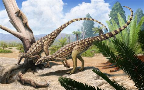 Scutellosaurus | Prehistoric Wiki | Fandom