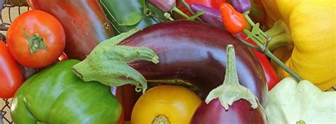 Nightshade Vegetables: Setting the Record Straight | Vitamix