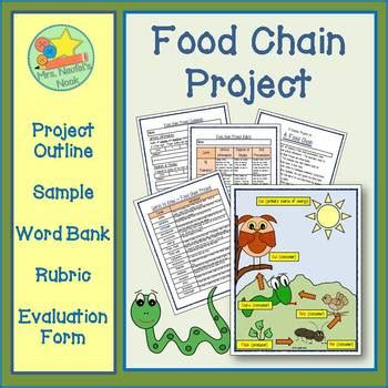 Food Chain Project by Sandra Naufal | Teachers Pay Teachers