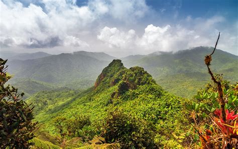 El Yunque National Rainforest | Tours, Zipline, & Hiking