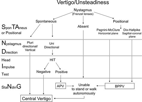 Frontiers | Differential Diagnosis of Vertigo in the Emergency ...