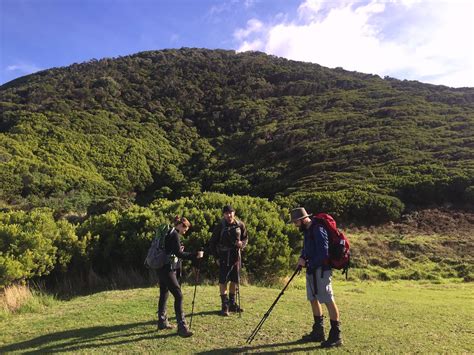 Hiking the Great Ocean Road: tips and tricks for coastal walkers