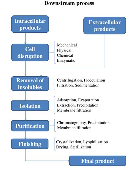 1.1: Steps in downstream processing. | Download Scientific Diagram