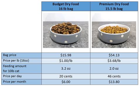 Cat Food: Why It Pays to Get It Right - Catster