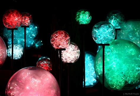 glowing orbs | Longwood Gardens - light art installation by … | Flickr