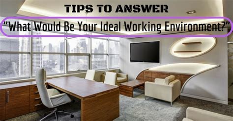 16 Tips to Answer "What Would Be Your Ideal Working Environment?" - WiseStep