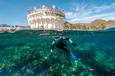 One of the Best Dives in SoCal: Casino Point Dive Park