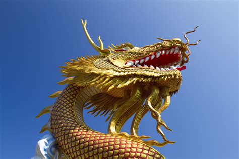 10 Reasons Why the Dragon Chinese Zodiac Sign Is the Best Sign