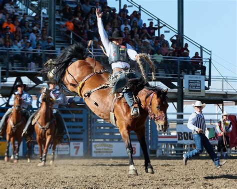 Cody Stampede Rodeo 2024 in Wyoming - Rove.me