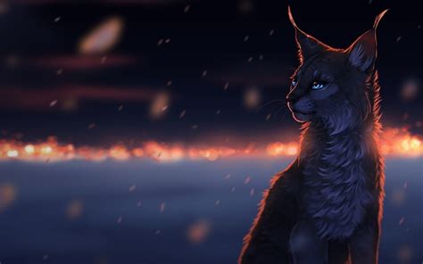 Online crop | gray and black lynx, cat, rain, drawing, lynx HD wallpaper | Wallpaper Flare