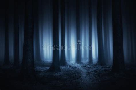 Dark and scary forest at night. Dark and scary forest at the night , # ...