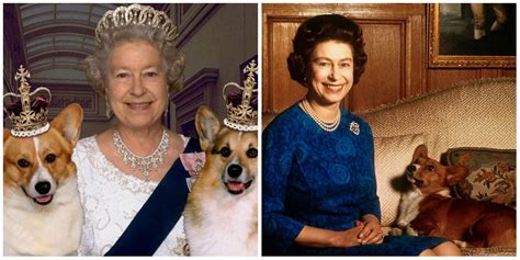 How many dogs did Queen Elizabeth II have? Everything to know about the royal canine family tree