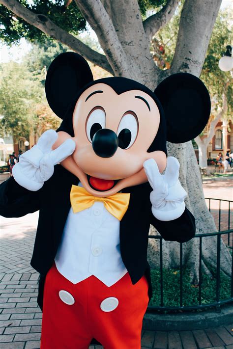 Disneyland Mickey Mouse - find out