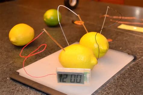 Lemon Battery Experiment for Kids