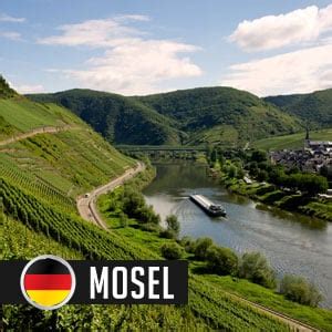 German Mosel Wines